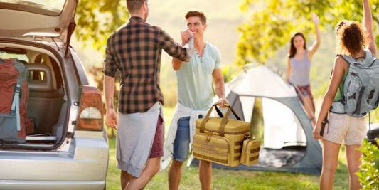 What food should I pack for a family picnic in an insulated bag?